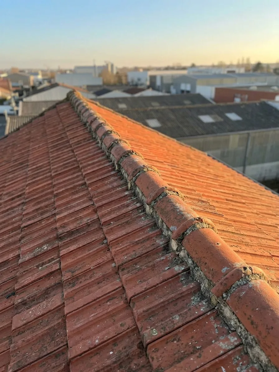 Couvreur à Roissy-en-Brie — avant (chantier 2)